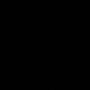 Meet your Posher, Shay